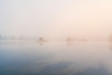 Small islands with tree on pond in misty fog. Minimalism, calm Czech landscape background