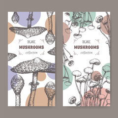Two labels with parasol mushroom and enokitake mushroom sketch. Edible mushrooms series. - 647263682