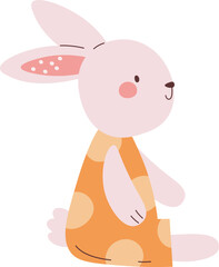 Sitting Rabbit With Clothes