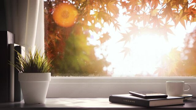 Relaxing and beautiful fresh morning scenery looping video with red autumn maple trees and maple leaves swaying in the wind outside the glass window and bright sunlight sparkling and shining

