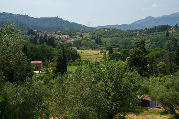 Rural landscape near Camaiore, Tuscany