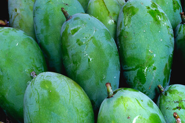 group mango from asian farm, can be used for article design