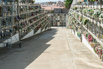 Fototapeta na wymiar Garden of Remembrance: The Language of Cemetery Flowers