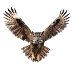 Papier Peint photo autocollant Dessins animés de hibou owl looking isolated on white