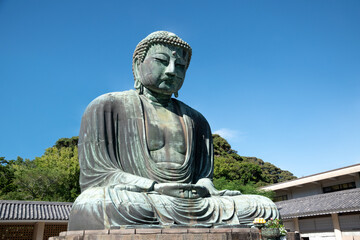 鎌倉の大仏 長谷 高徳院