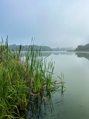 Mystical morning at the fog-kissed lake, where nature's beauty emerges through the ethereal mist.