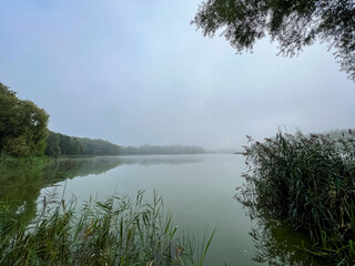 Mystical morning at the fog-kissed lake, where nature's beauty emerges through the ethereal mist.