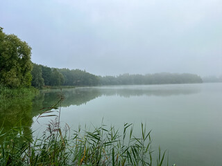 Mystical morning at the fog-kissed lake, where nature's beauty emerges through the ethereal mist.