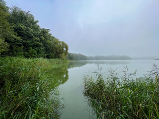 Mystical morning at the fog-kissed lake, where nature's beauty emerges through the ethereal mist.