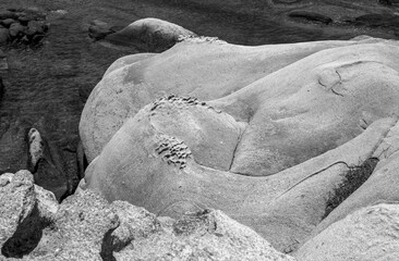 black and white summer image of the rocks in the Greek sea