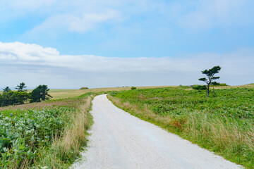 北海道稚内市　宗谷丘陵の白い道　８月