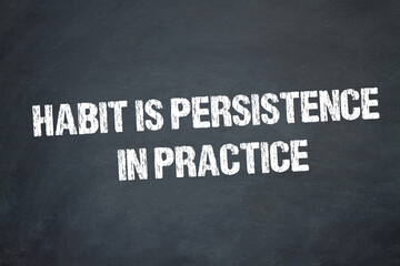 habit is persistence in practice	
