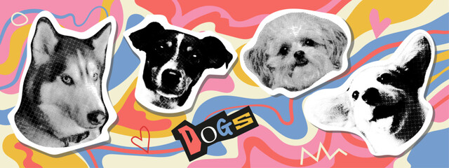 Collage design elements in trendy dotted pop art style. Retro halftone effect. Portraits of dogs of various breeds.Vector isolated elements. Cute dogs. Print design, t-shirt print