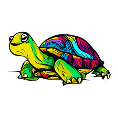 Turtle picture, It's an animal illustration used in common applications.
