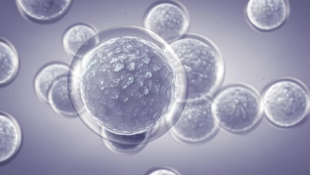 Animation of Mesenchymal stem/stromal cells (MSC). Repairing damaged cells by reducing inflammation and modulating the immune system. Embryonic stem cells concept