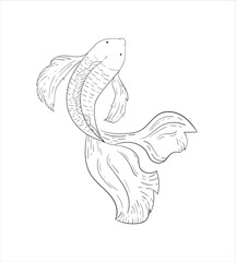 
Betta fish or Siamese fighter fish top view in simple hand drawn line art style. Decorative goldfish veiltail. Illustration isolated on white background. Tattoo art design, coloring book page