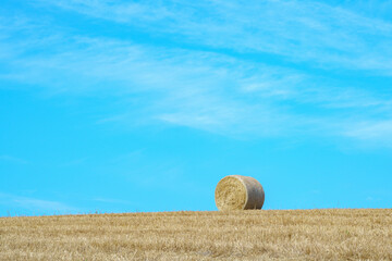 美瑛町　牧草ロール　北海道観光 夏の絶景
