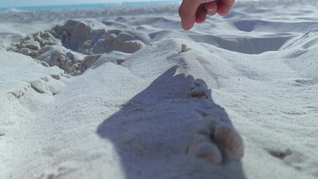 A person putting out his cigarette in the sand and leaving it there