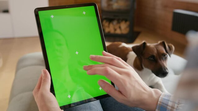 tablet computer with green screen chromakey display with motion trackers in woman hand with dog jack russel on background sitting on sofa. finger scroll and tap gesture
