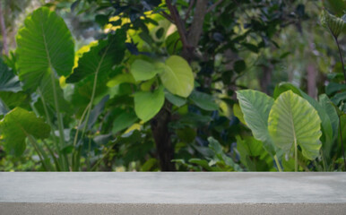 Stone tabletop counter podium floor in outdoors tropical garden forest blurred green leaf plant nature background.Natural product placement pedestal stand display,summer jungle paradise concept...