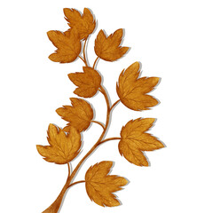 autumn leaves isolated on white