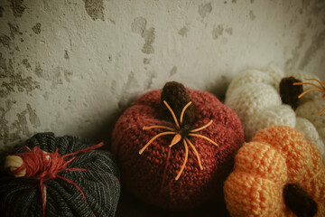 Pumpkins knitted with spiders - Halloween decorations. Spider on pumpkin - Halloween holiday decorations.