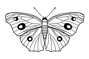 Silhouette butterfly element design on white background.