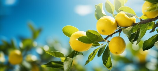 Lemon on tree branch. Natural agriculture farm concept. Generative AI technology.
