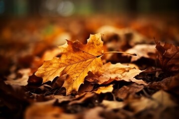 Macro photo of a fallen leaves in autumn forest. Generative AI