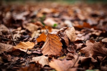 Autumn leaves on the ground. Generative AI
