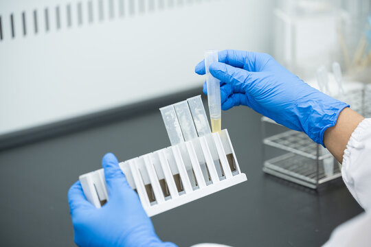 Laboratory Hood Images – Browse 3,601 Stock Photos, Vectors, and Video ...
