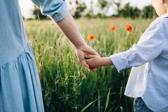 Mother's love in the hand. Young boy holding moms hand outside. Mom and child boy enjoy the view and have fun outdoor lifestyle on the summer sunset poppies field. Happy and friendly family concept