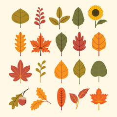 autumn leaves collection