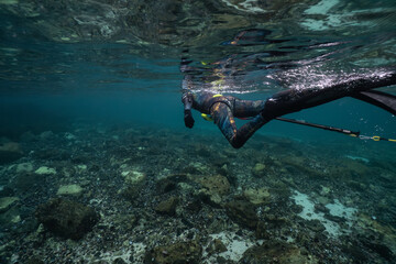 Freediver swimming over a reef in the Arctic circle