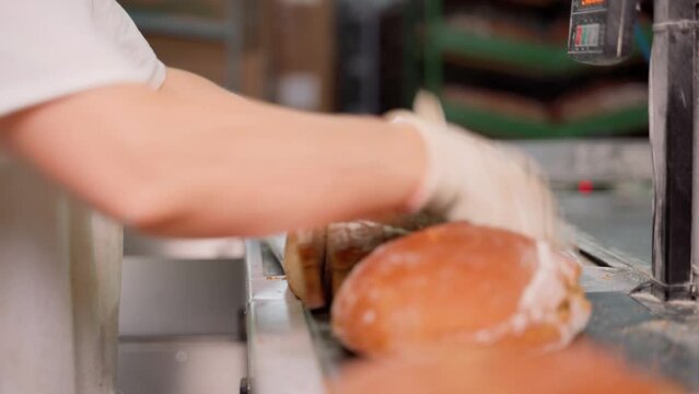 Unrecognizable person packing cut bread after long loaf cutting machine at factory indoors. Food production process