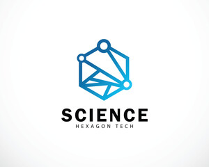 molecule logo creative science lab design concept hexagon tech connect network biology smart idea