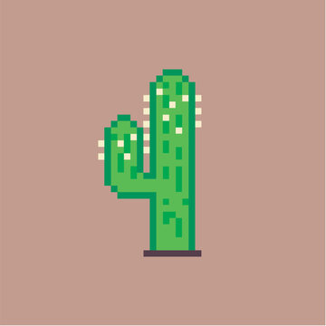Castus plant pixel art
