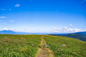 三峰山登山道からの眺め