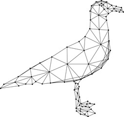Seagull standing on its feet, seabird, from abstract futuristic polygonal black lines and dots.