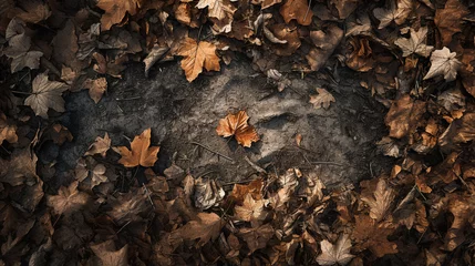 Foto op Aluminium A top-view image of a park floor in autumn which reveals a carpet of dried leaves covering the ground. Between the leaves, empty spaces reveal the dry earth beneath © Aisyaqilumar