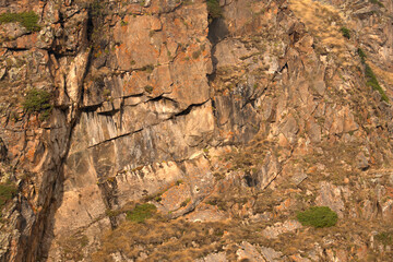 The rock is brown in color interspersed with moss