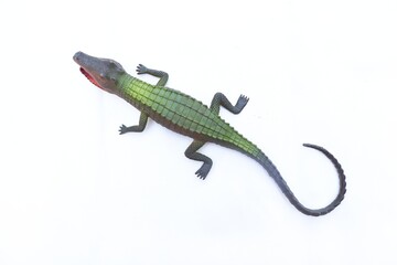 Green crocodile toy in white background. Crocodile toy figure for learning animals