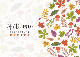 Autumn background