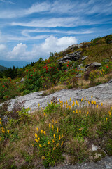 Art Loeb Trail on Black Balsam, Pisgah National Forest