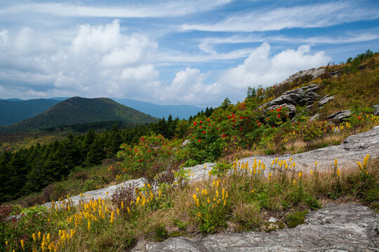 Art Loeb Trail on Black Balsam, Pisgah National Forest