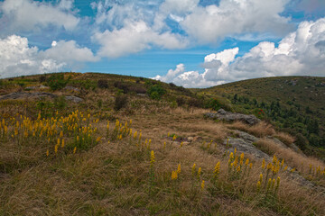 Art Loeb Trail on Black Balsam, Pisgah National Forest