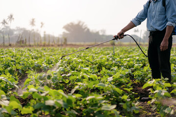 Smart farmer using spray tank to spraying fertilizer and pesticides vegetables field while working and