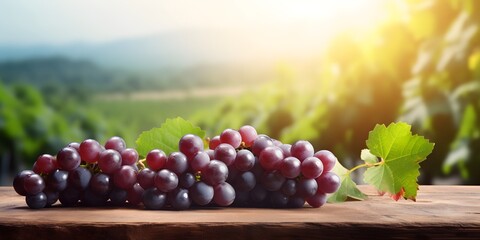 Fototapeta premium Wooden table with fresh red grapes and free space on nature blurred background, vineyard field