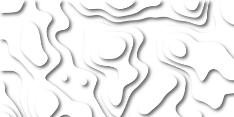 Abstract wavy line 3d paper cut white background. Topographic canyon geometric map relief texture with curved layers and shadow. Abstract white paper cut shapes background with shadow and topography.