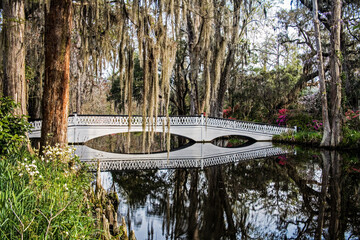 Obraz premium Magnolia Plantation and its Gardens near Charleston, South Carolina, USA